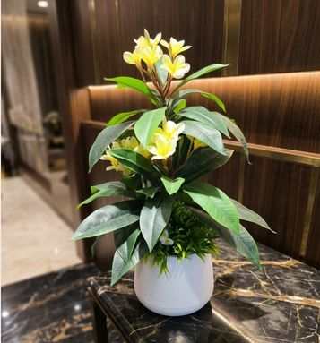 Luxury Artificial Kath Golap Flower Plant Simulation Frangipani Decoration for Indoor Spaces